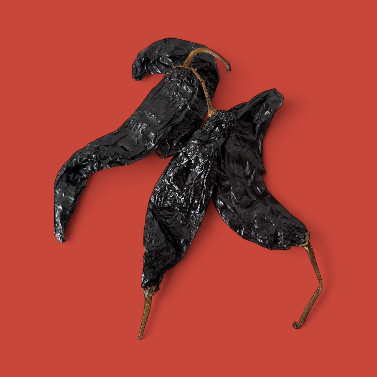 Chile Negro Pasilla (1lb)