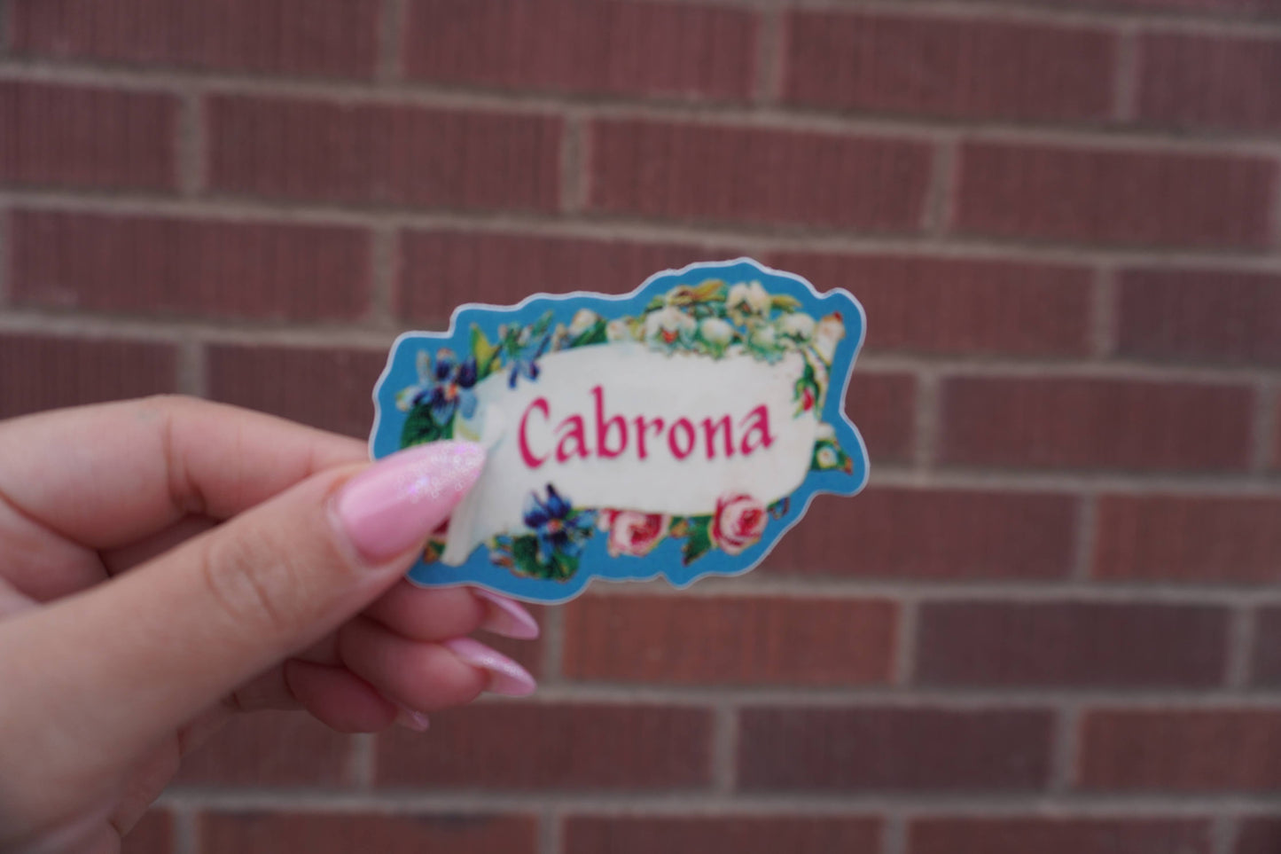 Erica Alfaro Designs - Cabrona Vintage Vinyl Sticker
