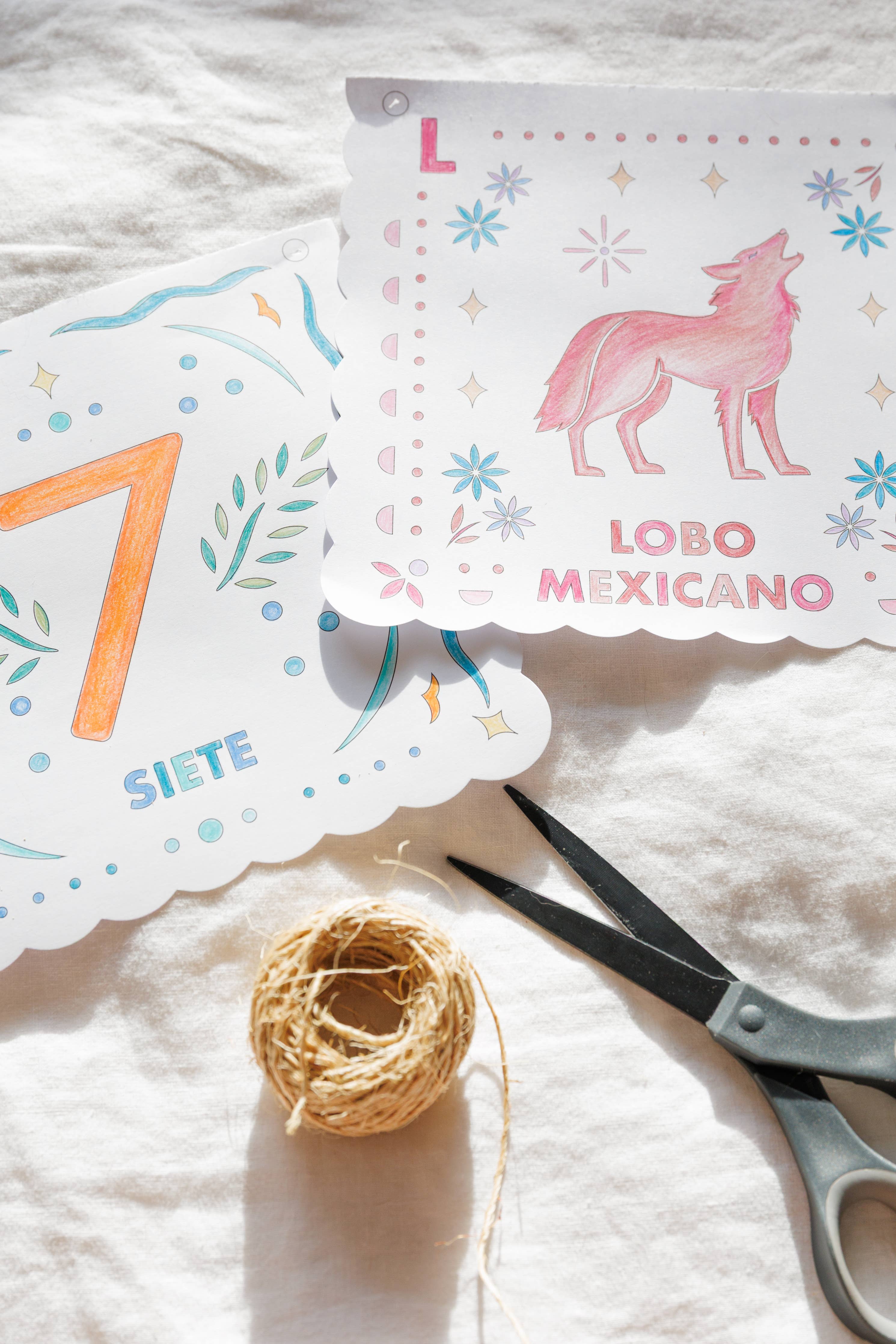 Blue Star Press - Papel Picado Spanish Coloring Book