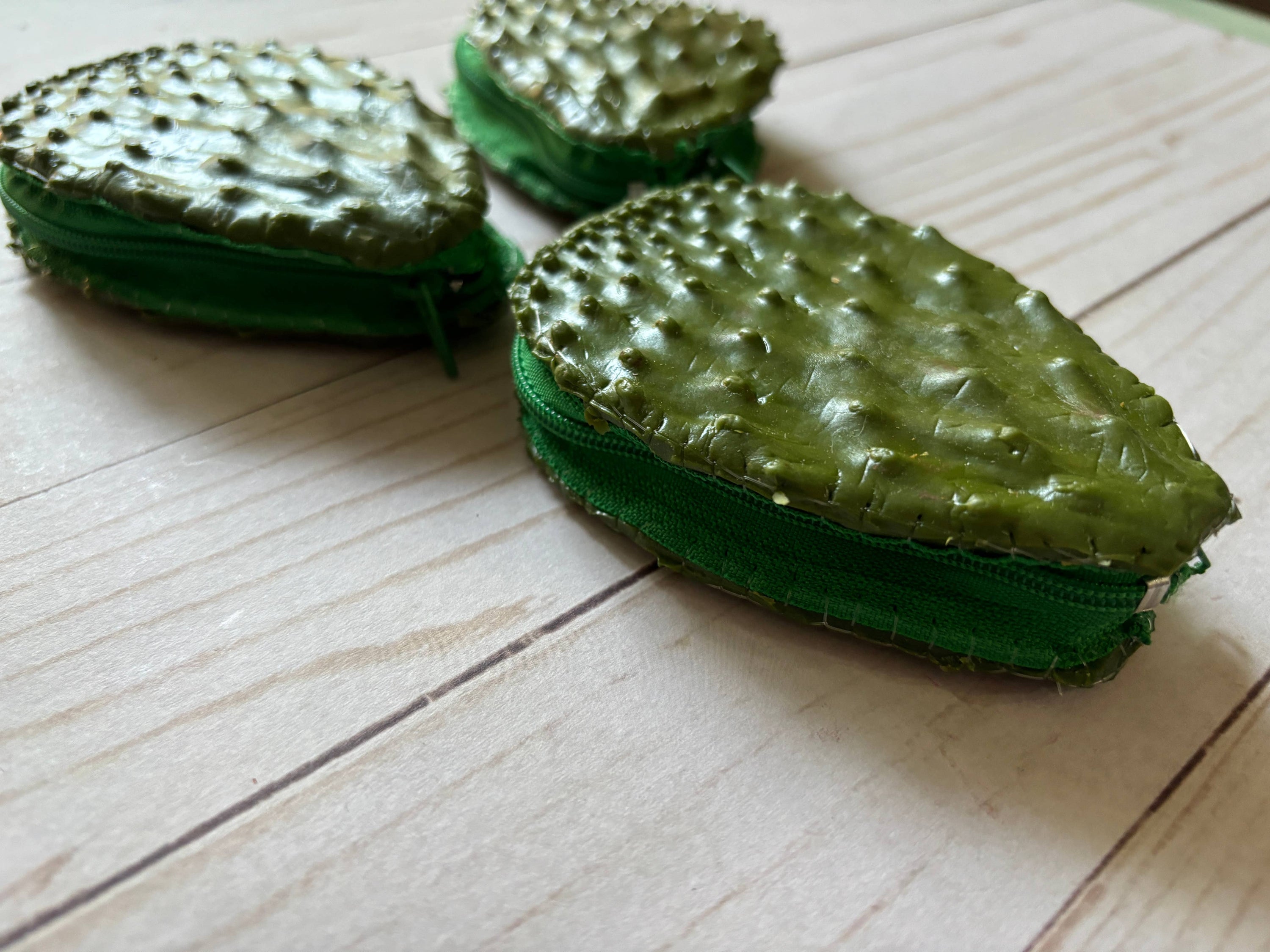 Viva Greetings - One Gag Gift Coin Purse Nopal  Cactus