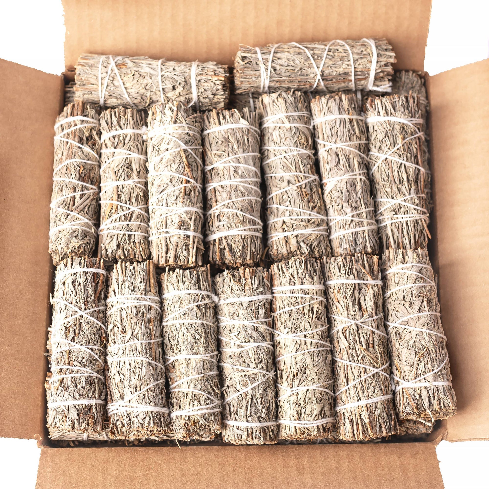 Sarimoire - Blue Sage (Grandmother Sage) Bulk (25 PACK)