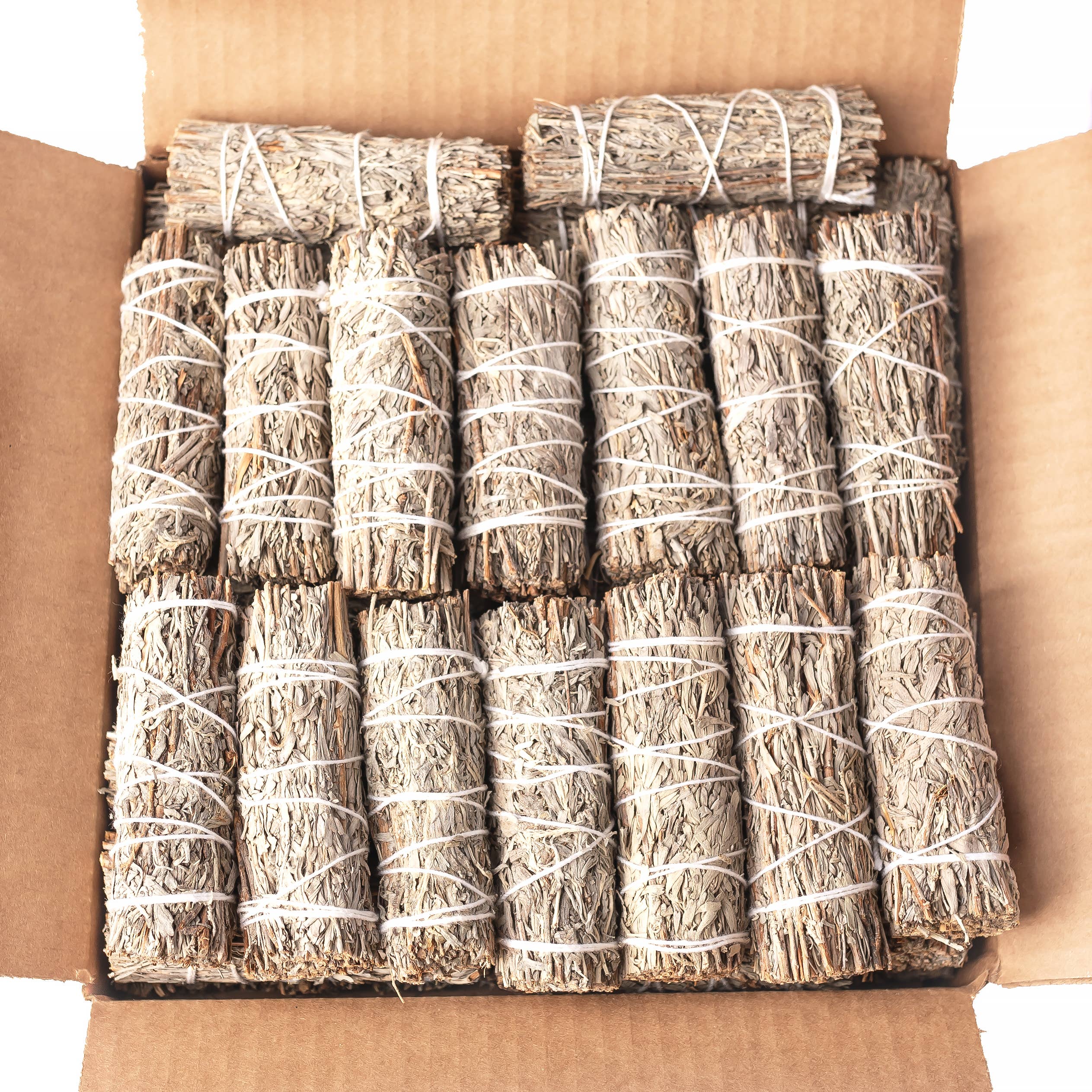 Sarimoire - Blue Sage (Grandmother Sage) Bulk (25 PACK)