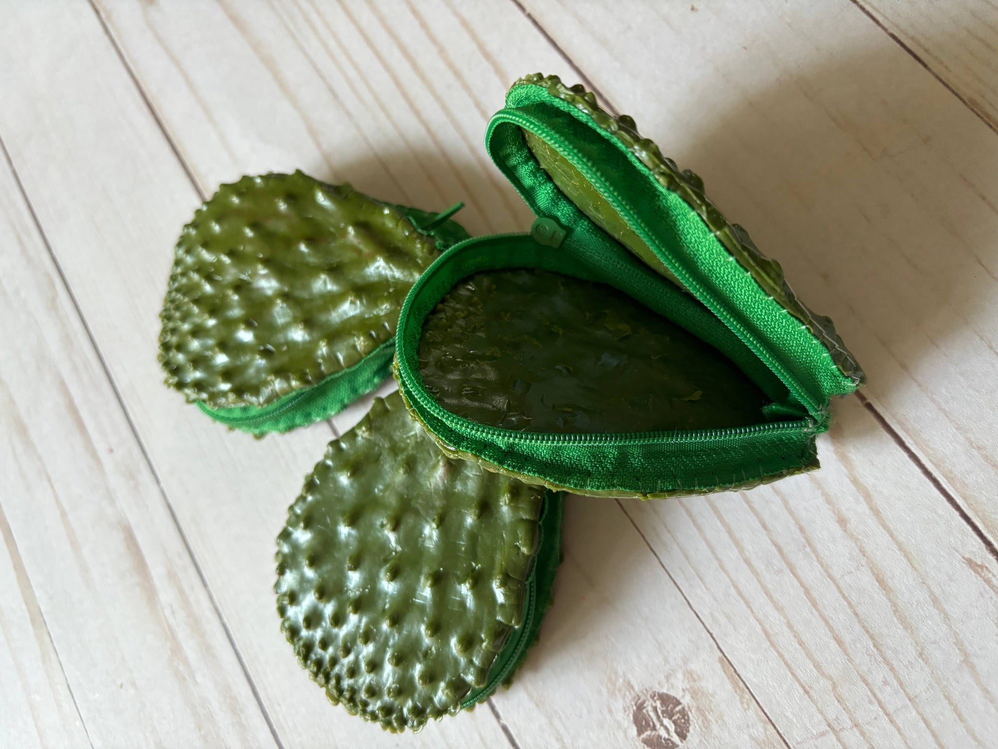 Viva Greetings - One Gag Gift Coin Purse Nopal  Cactus
