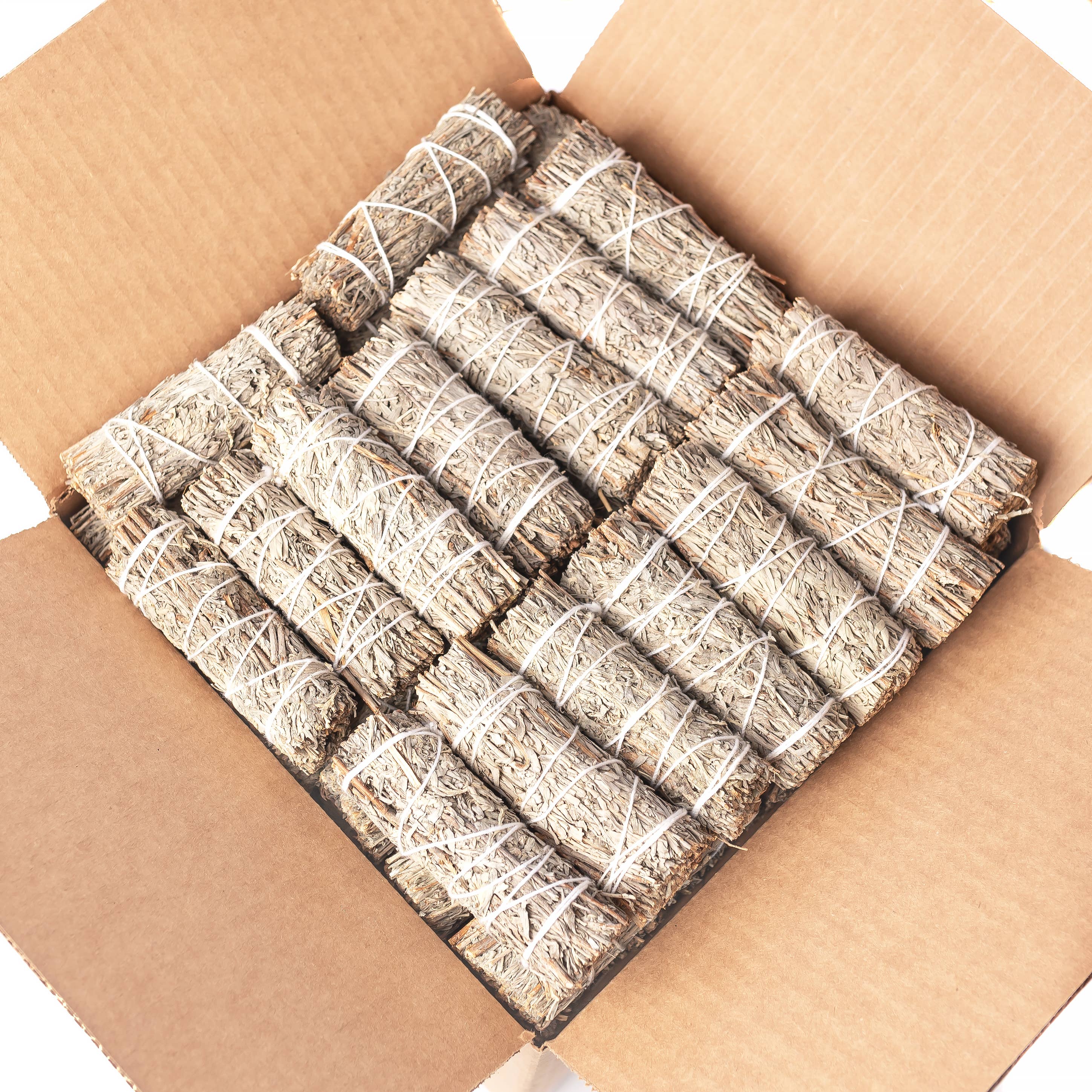 Sarimoire - Blue Sage (Grandmother Sage) Bulk (25 PACK)