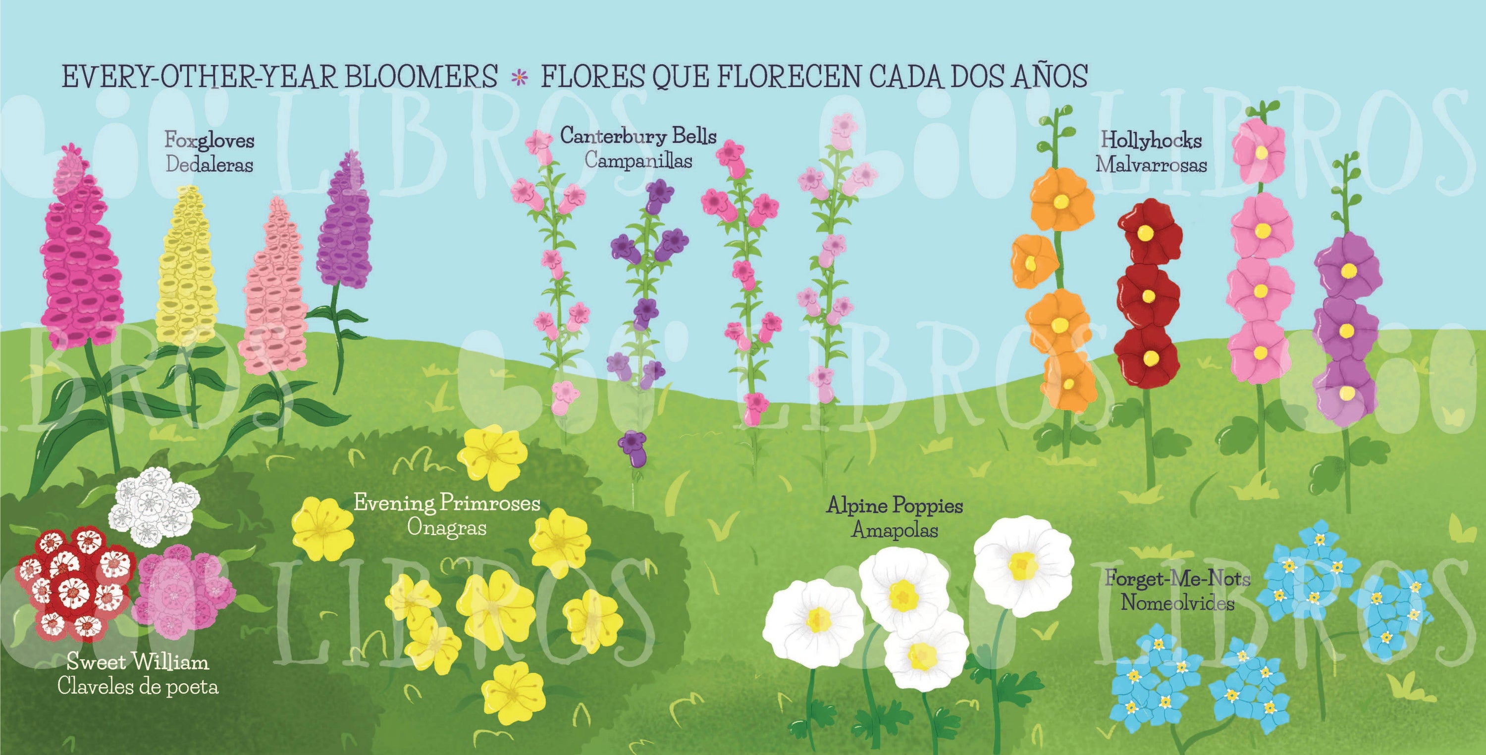 Lil' Libros ~ Bilingual Children's Books & Games - My First 100 Plantitas & Florecitas Words (Bilingual)