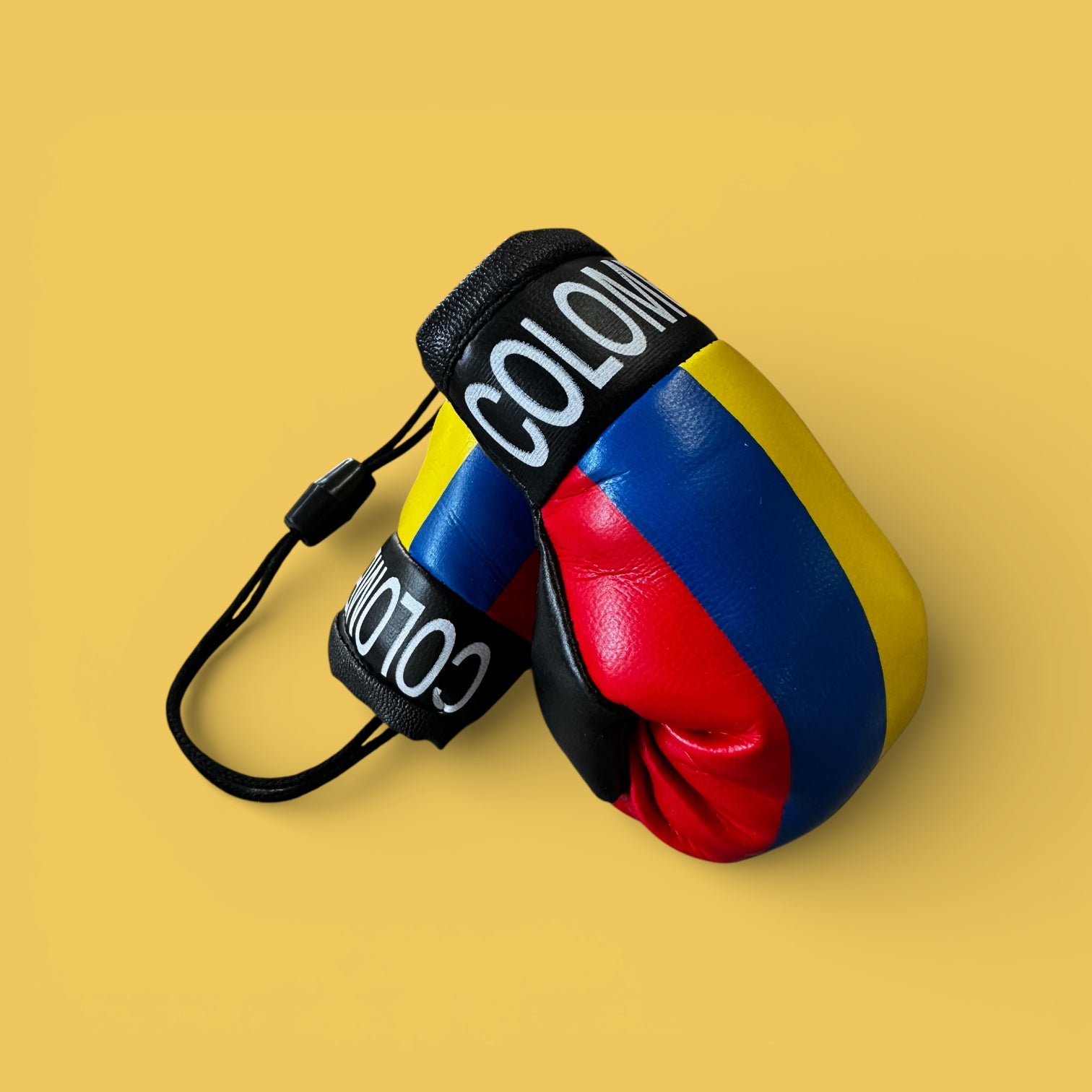 Boxing Gloves- Colombia