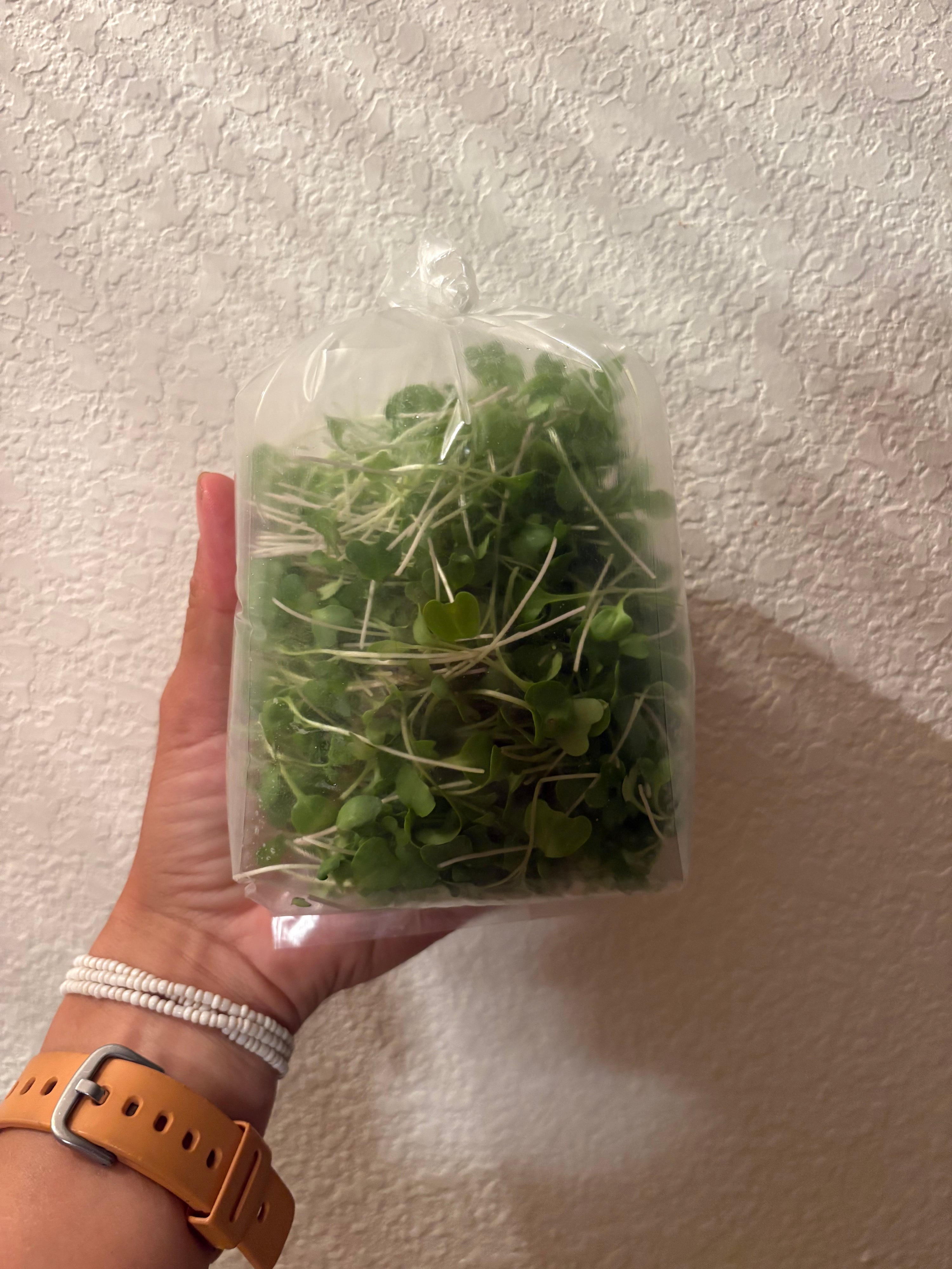 Root to Rise- Micro Greens, 2 oz, single bag