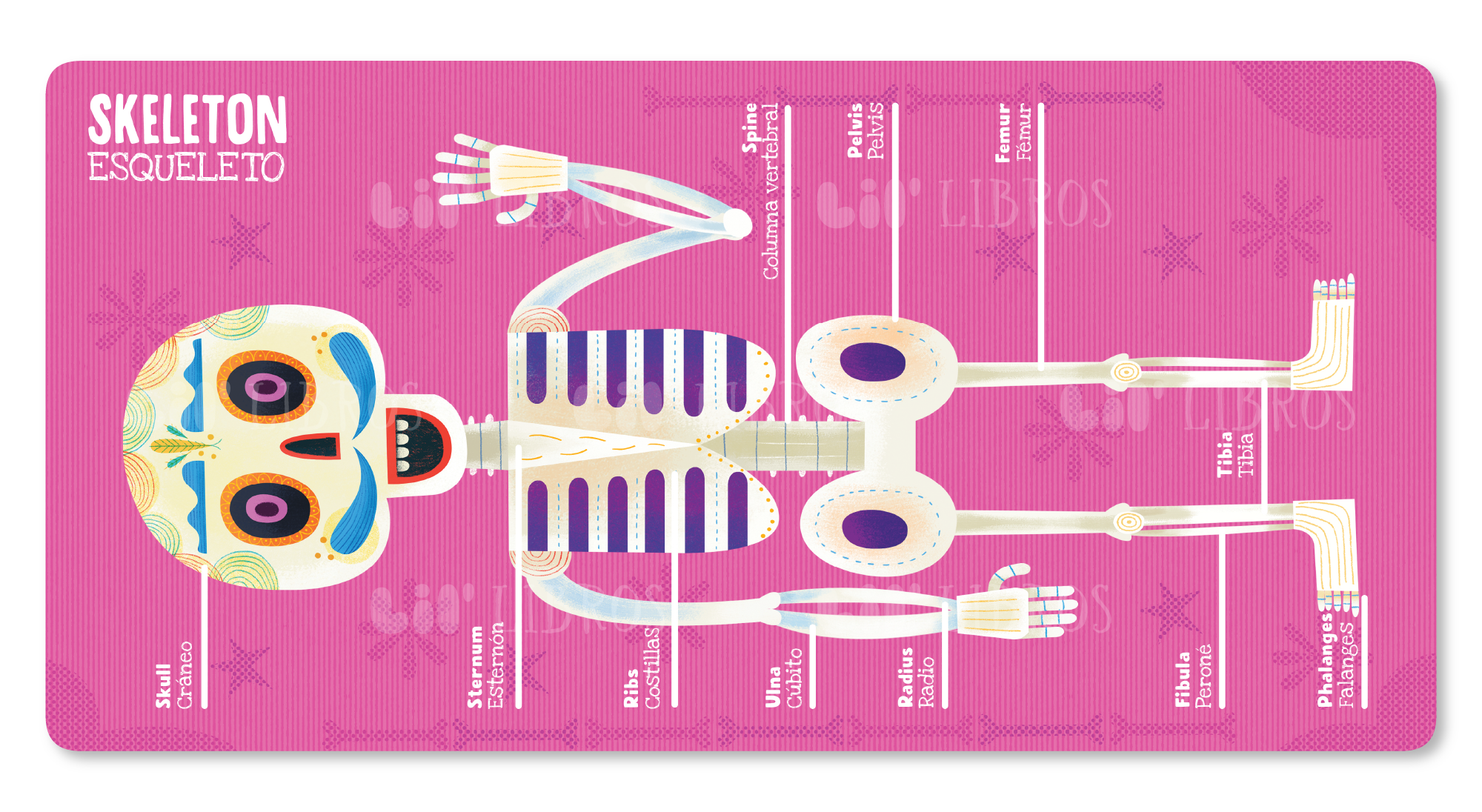 Lil' Libros ~ Bilingual Children's Books & Games - My First 100 Día de Muertos Words in English and Spanish (Bilingual English and Spanish)