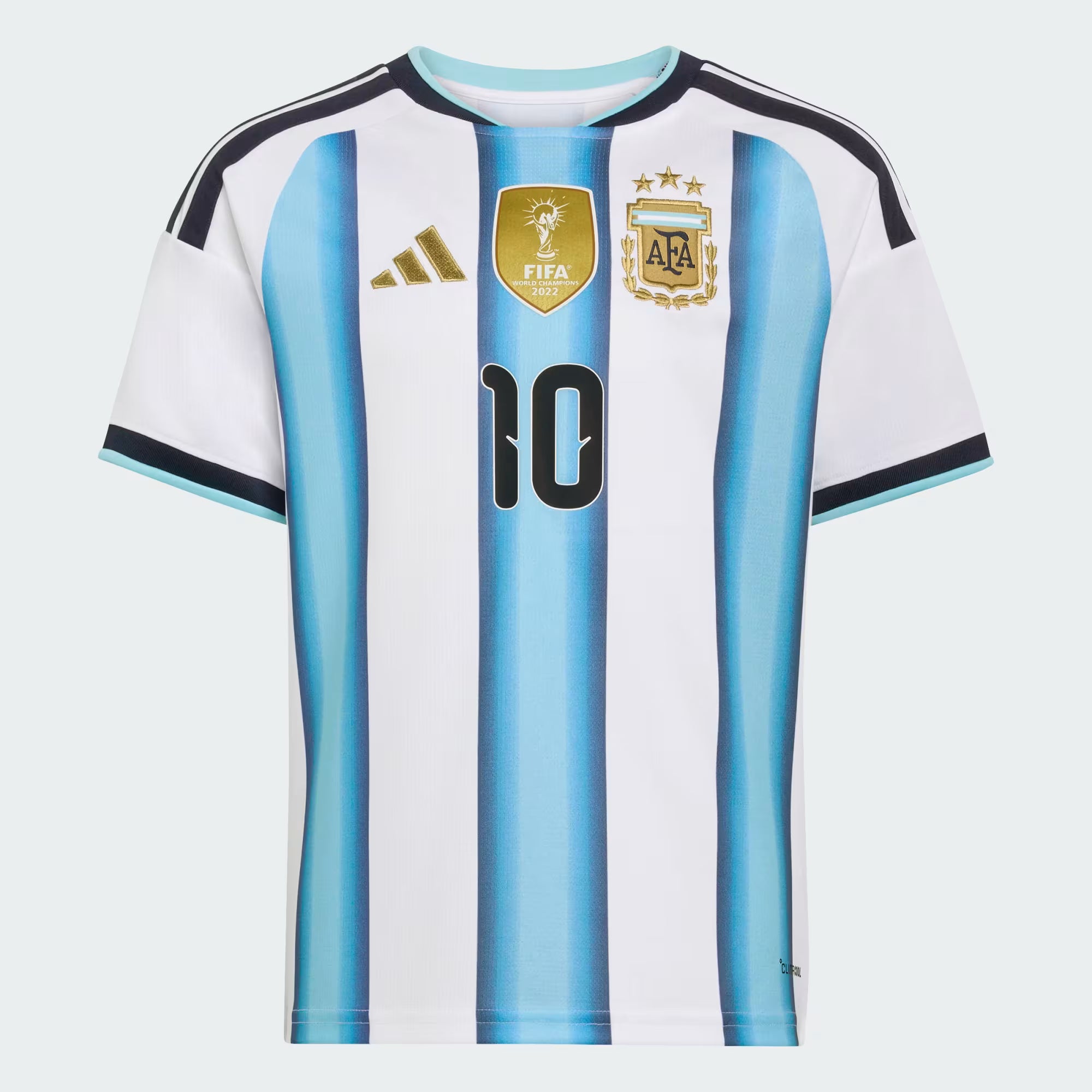 Argentina soccer jersey with Adidas and FIFA logos on a white background