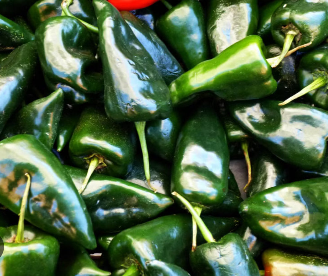Chile Poblano (1lb)