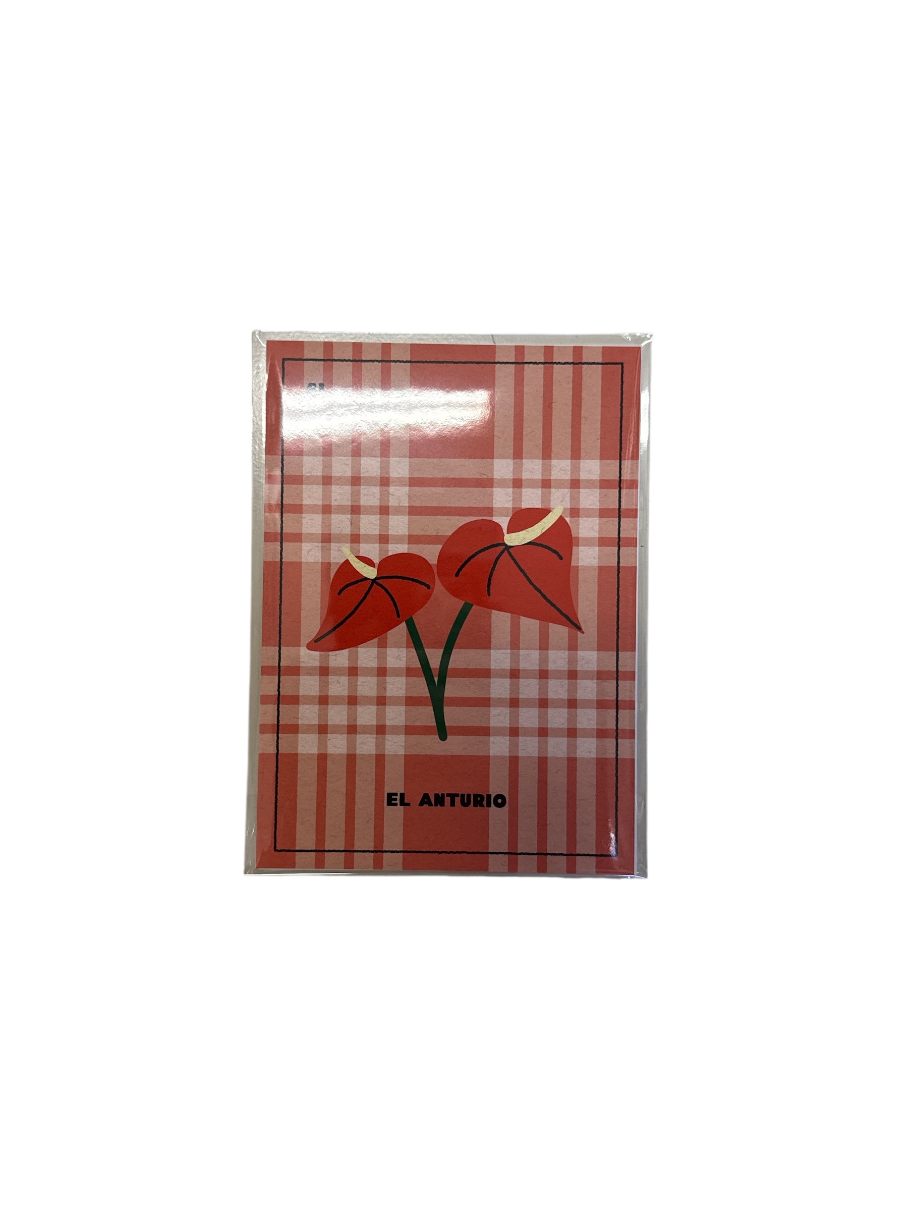 MDLR x Lauryn- El Anturio Print