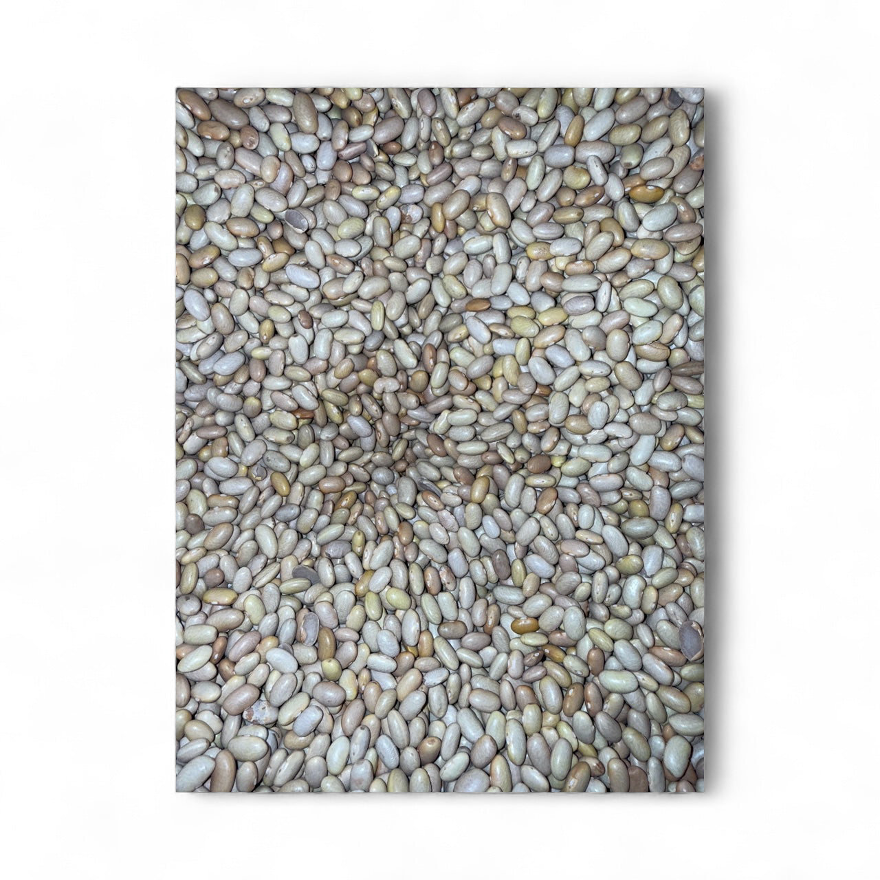 Peruvian beans Bulk (1lb)