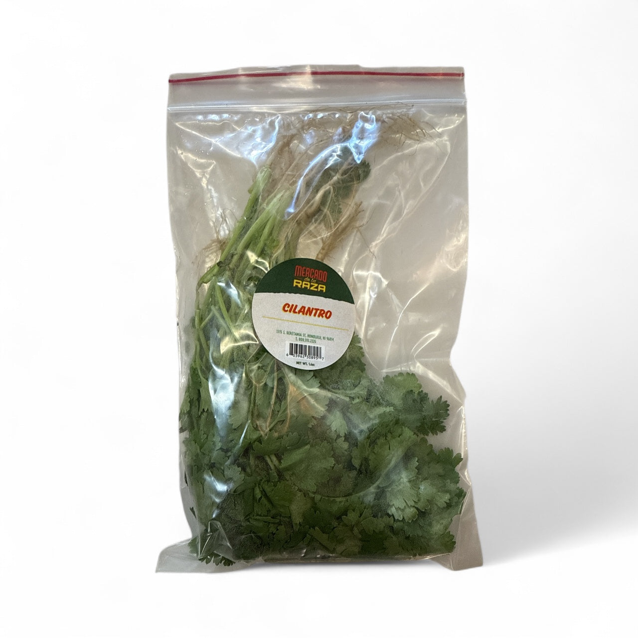 Cilantro / Chinese parsley / coriander bag