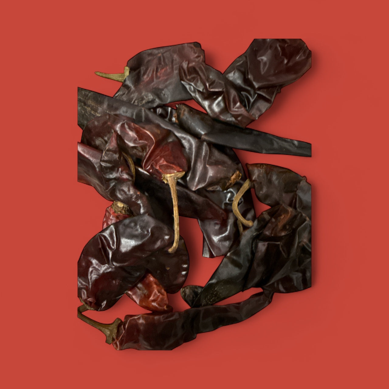 Chile Guajillo (1lb)