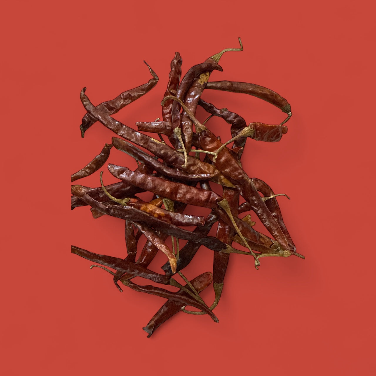 Chile de Árbol (1lb)