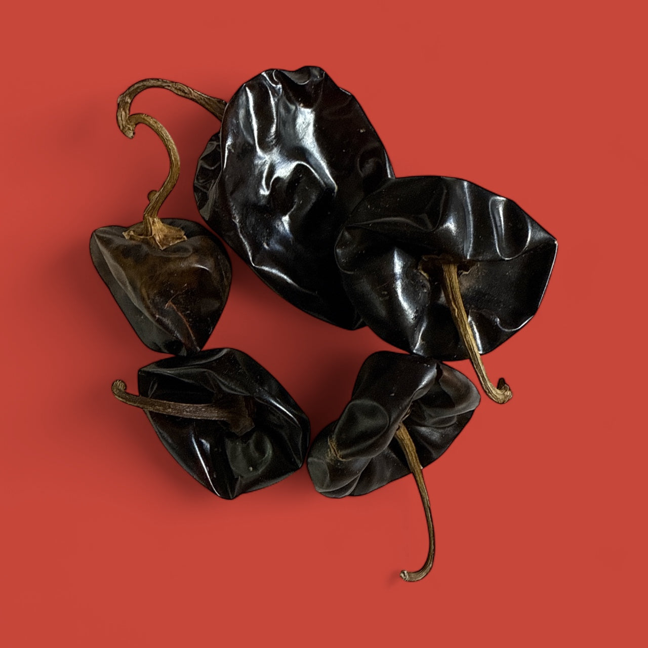 Chile Cascabel (1lb)