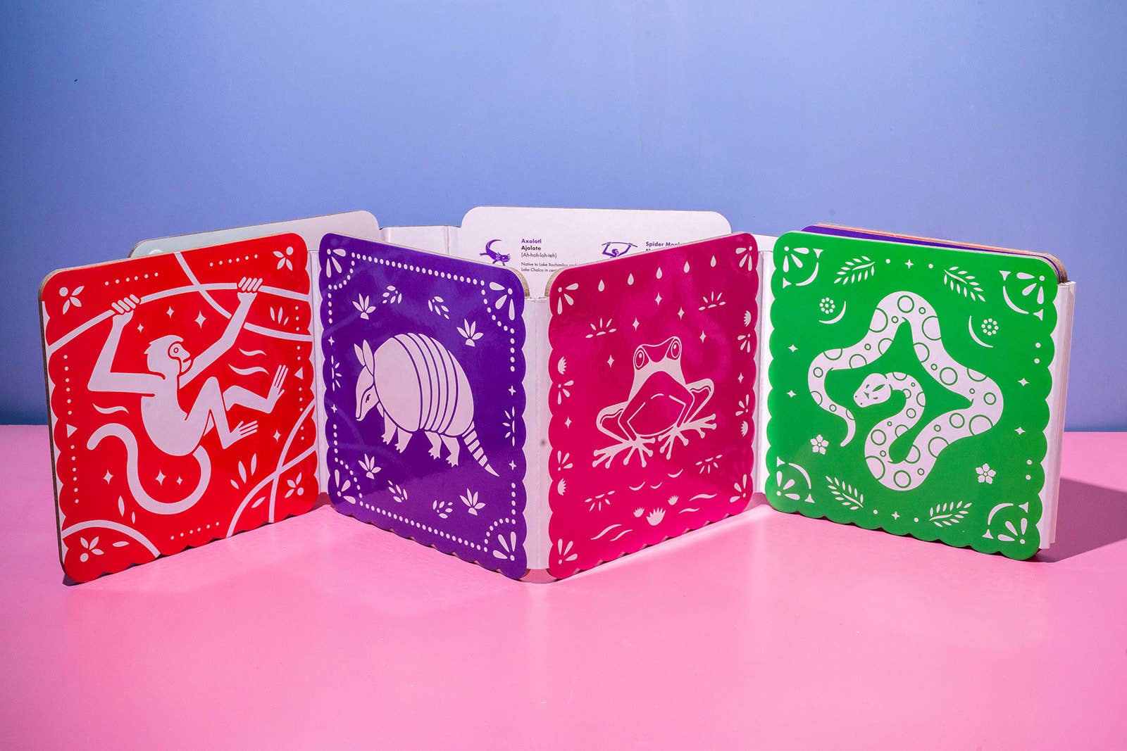 Blue Star Press - El Tummy Time