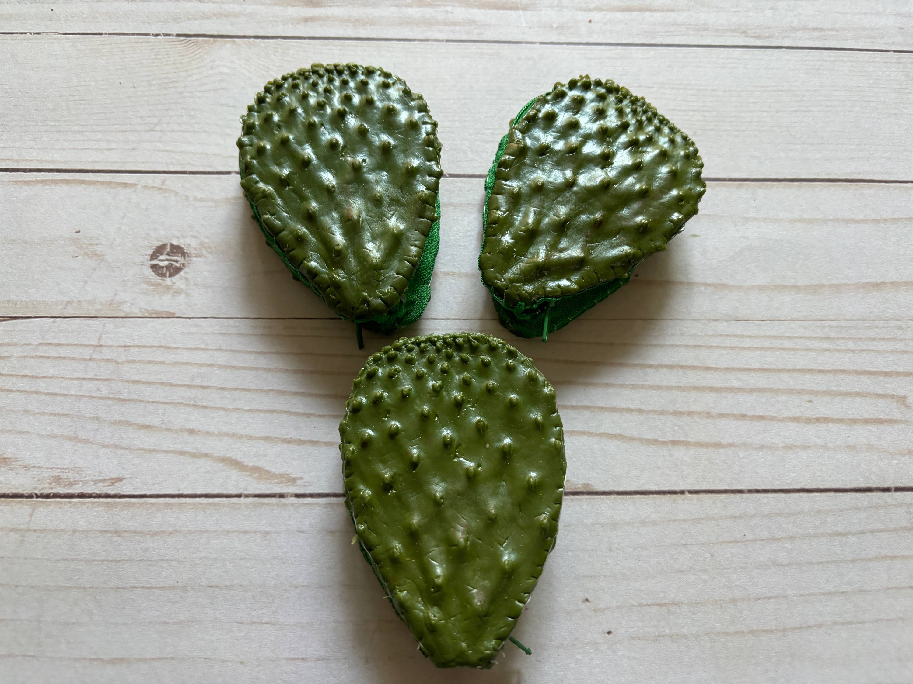 Viva Greetings - One Gag Gift Coin Purse Nopal  Cactus