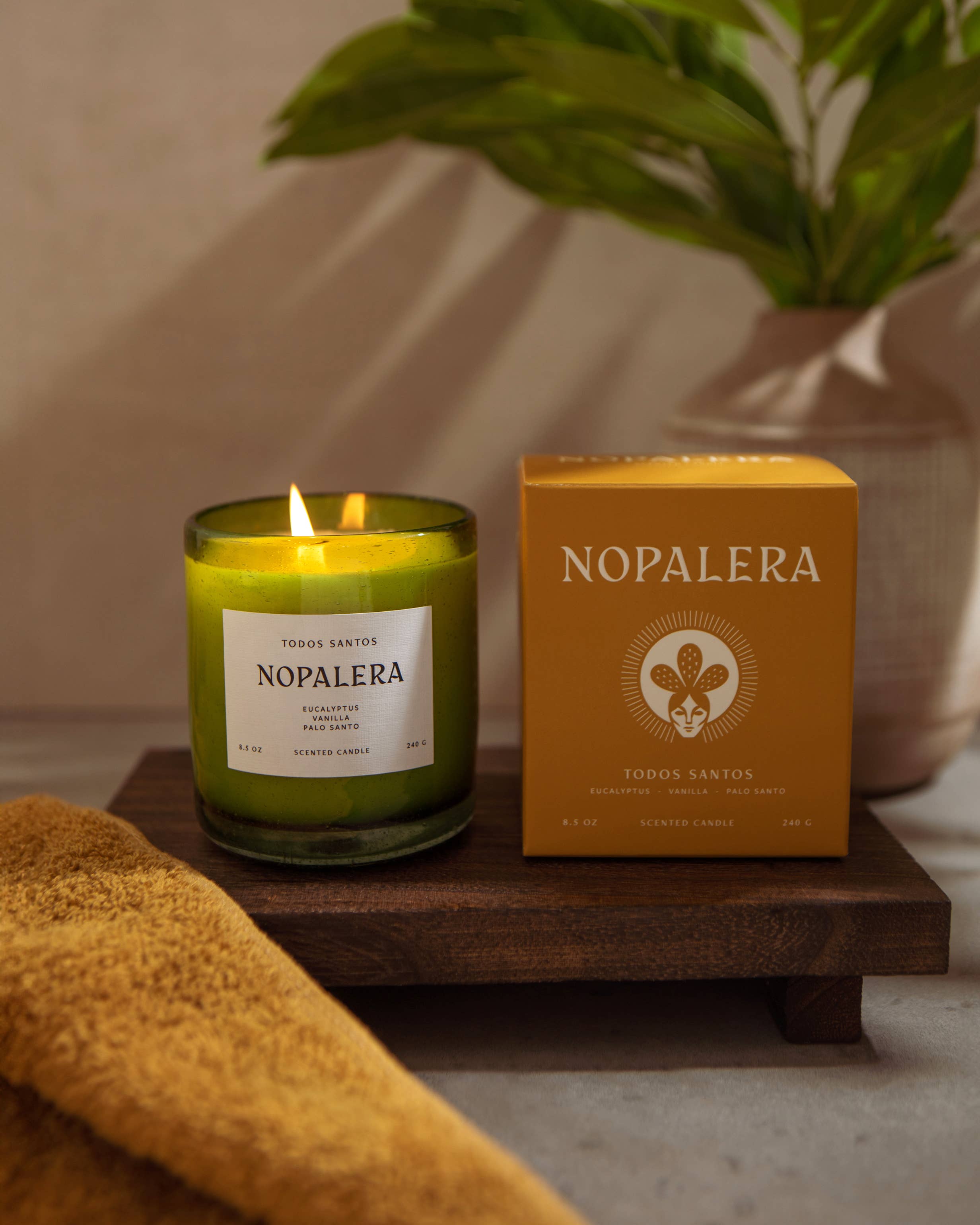 Nopalera - Todos Santos Candle