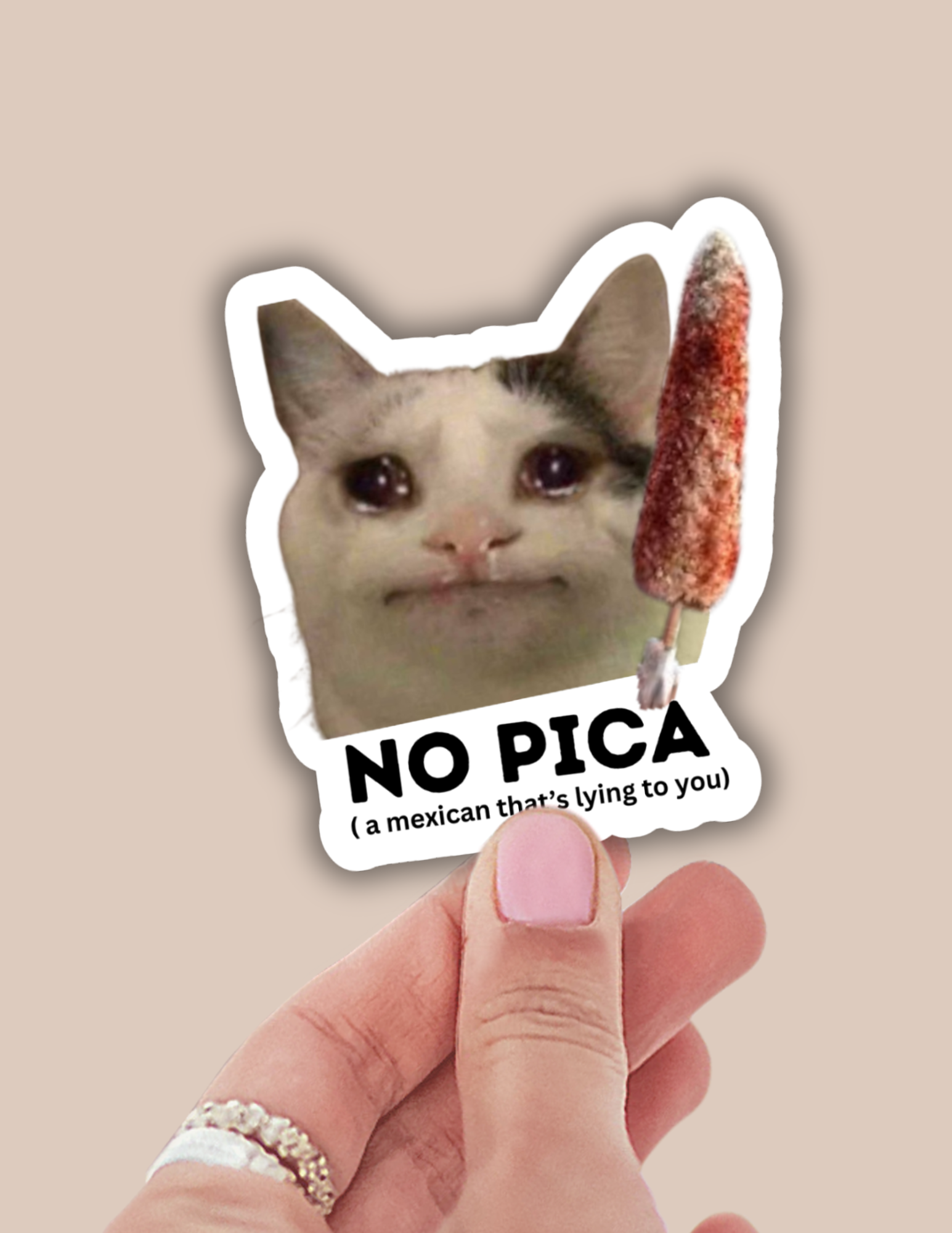 Lalatina Shop - No pica funny spanglish sticker, funny cat meme vinyl decals