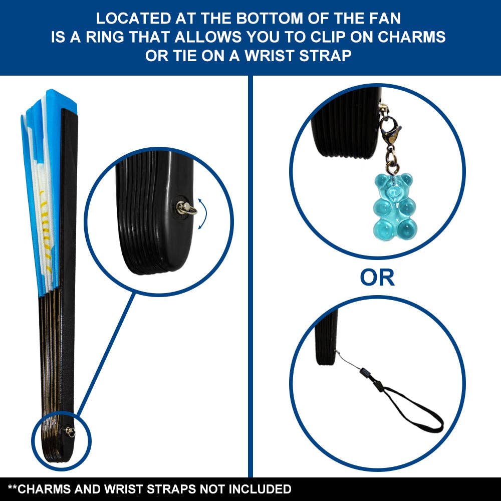 Flags Importer - Argentina X-Large Hand Fan