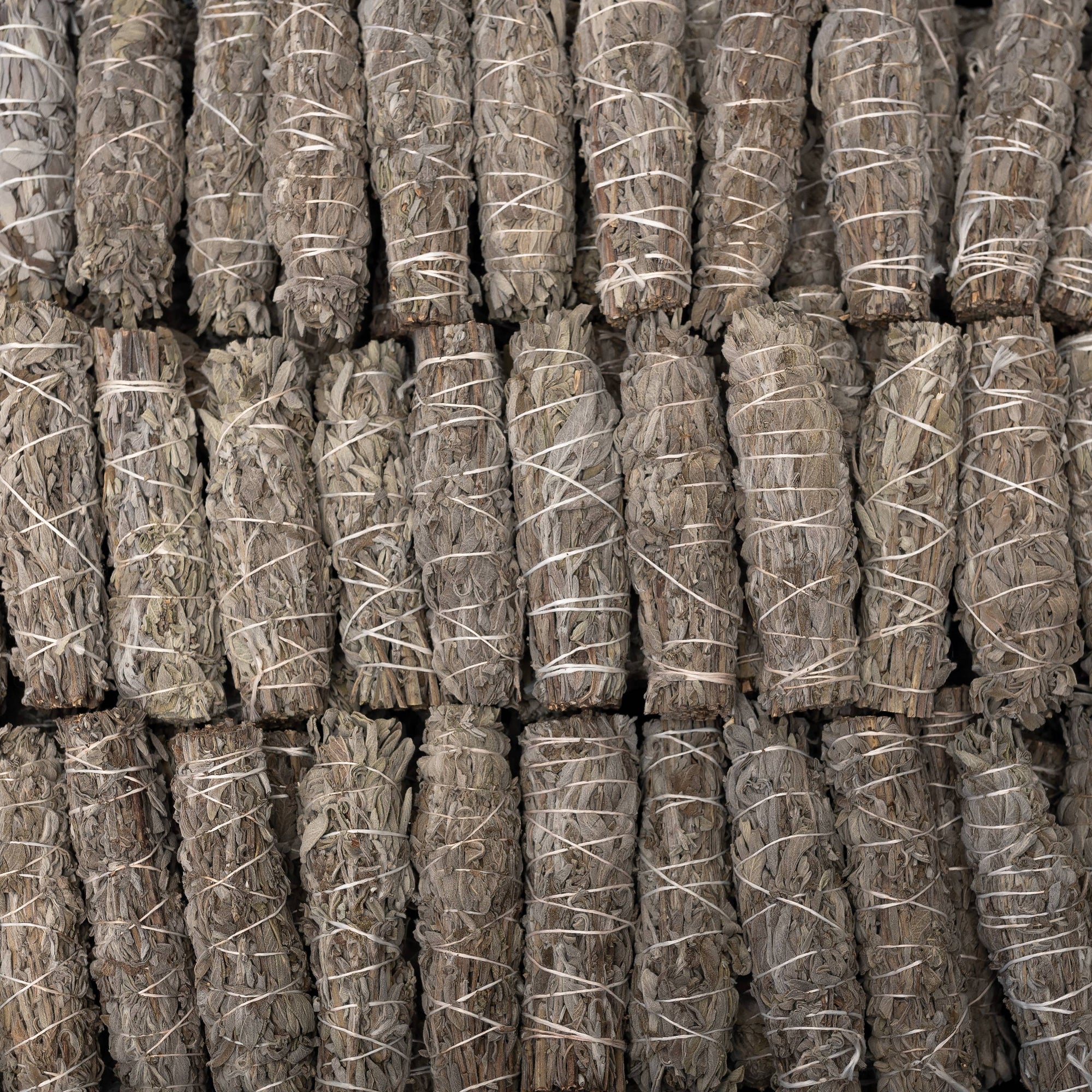 Sarimoire - Common Sage (Salvia Officinalus) Herb Wands